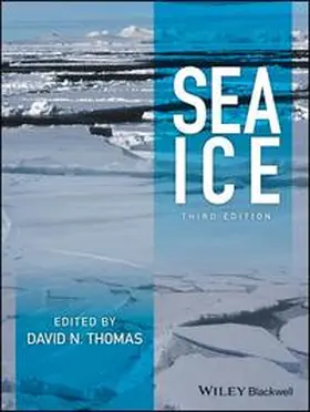 Thomas |  Sea Ice | eBook | Sack Fachmedien