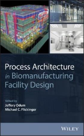 Odum / Flickinger | Process Architecture in Biomanufacturing Facility Design | E-Book | sack.de
