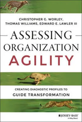 Worley / Williams / Lawler |  Assessing Organization Agility | eBook | Sack Fachmedien