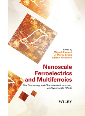 Alguero / Gregg / Mitoseriu |  Nanoscale Ferroelectrics and Multiferroics | Buch |  Sack Fachmedien