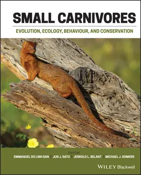 Do Linh San / Sato / Belant | Small Carnivores | Buch | 978-1-118-94328-1 | sack.de