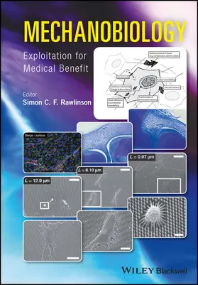 Rawlinson |  Mechanobiology | Buch |  Sack Fachmedien