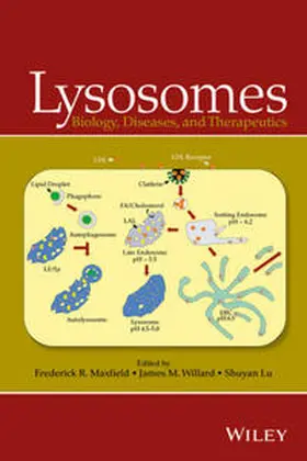 Maxfield / Willard / Lu |  Lysosomes | eBook | Sack Fachmedien