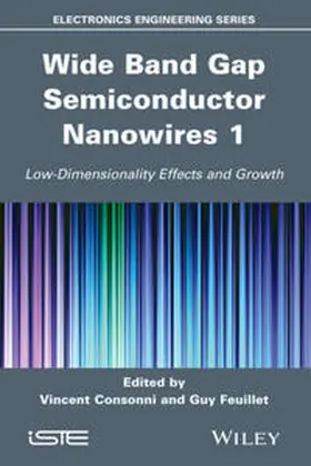 Consonni / Feuillet | Wide Band Gap Semiconductor Nanowires for Optical Devices | E-Book | sack.de