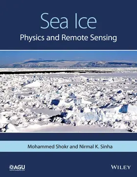 Shokr / Sinha |  Sea Ice | eBook | Sack Fachmedien