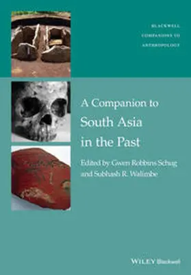 Schug / Walimbe |  A Companion to South Asia in the Past | eBook | Sack Fachmedien