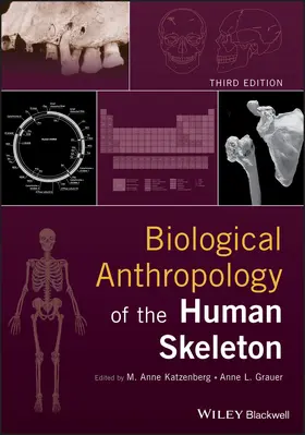 Grauer / Katzenberg |  Biological Anthropology of the Human Skeleton | Buch |  Sack Fachmedien