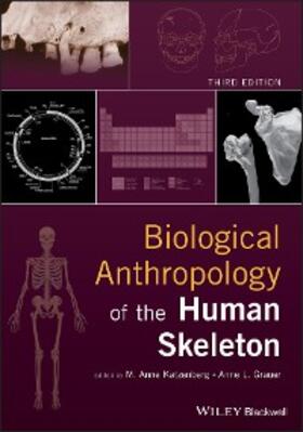 Katzenberg / Grauer |  Biological Anthropology of the Human Skeleton | eBook | Sack Fachmedien
