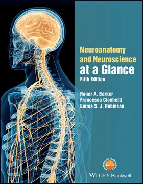 Robinson / Barker / Cicchetti | Neuroanatomy and Neuroscience at a Glance | Buch | 978-1-119-16841-6 | sack.de