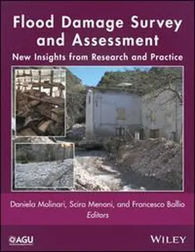 Molinari / Menoni / Ballio |  Flood Damage Survey and Assessment | eBook | Sack Fachmedien