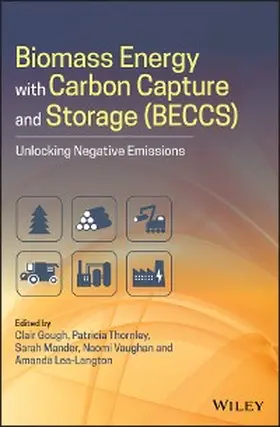 Gough / Thornley / Mander |  Biomass Energy with Carbon Capture and Storage (BECCS) | eBook | Sack Fachmedien