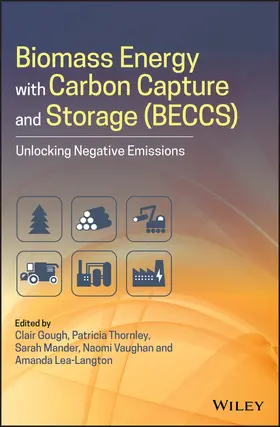 Gough / Thornley / Mander |  Biomass Energy with Carbon Capture and Storage (Beccs) | Buch |  Sack Fachmedien