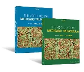 De Bruijn | The Model Legume Medicago truncatula | E-Book | sack.de