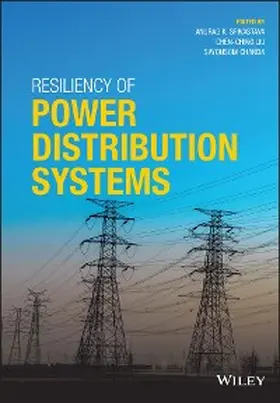 Srivastava / Liu / Chanda |  Resiliency of Power Distribution Systems | eBook | Sack Fachmedien
