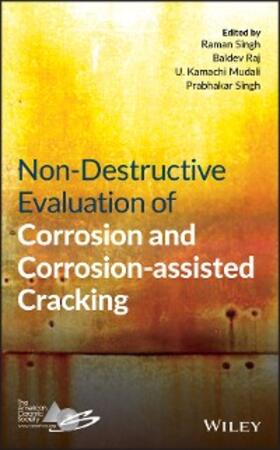 Singh / Raj / Mudali | Non-Destructive Evaluation of Corrosion and Corrosion-assisted Cracking | E-Book | sack.de