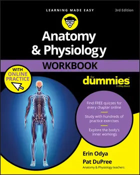 Odya / DuPree |  Anatomy & Physiology Workbook for Dummies with Online Practice | Buch |  Sack Fachmedien