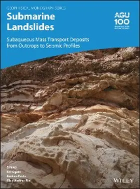 Ogata / Festa / Andrea Pini |  Submarine Landslides | eBook | Sack Fachmedien