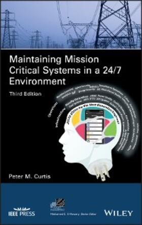 Curtis |  Maintaining Mission Critical Systems in a 24/7 Environment | eBook | Sack Fachmedien