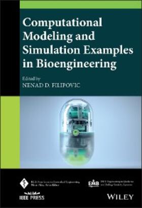 Filipovic |  Computational Modeling and Simulation Examples in Bioengineering | eBook | Sack Fachmedien