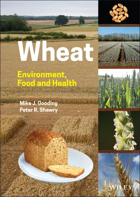 Gooding / Shewry | Wheat | Buch | 978-1-119-65255-7 | www2.sack.de