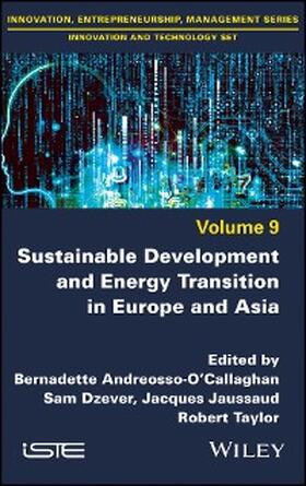 Andreosso-O'Callaghan / Dzever / Jaussaud |  Sustainable Development and Energy Transition in Europe and Asia | eBook | Sack Fachmedien