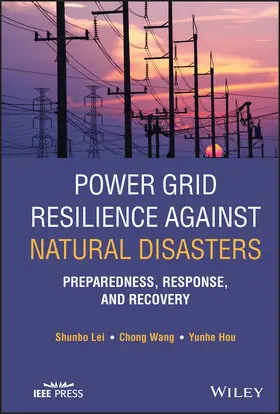 Lei / Wang / Hou |  Power Grid Resilience Against Natural Disasters | Buch |  Sack Fachmedien