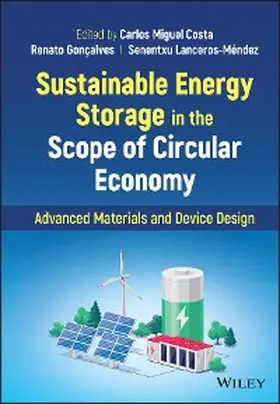 Costa / Goncalves / Lanceros-Mendez |  Sustainable Energy Storage in the Scope of Circular Economy | eBook | Sack Fachmedien