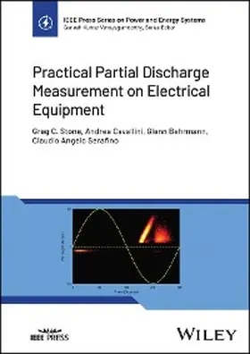 Stone / Cavallini / Behrmann |  Practical Partial Discharge Measurement on Electrical Equipment | eBook | Sack Fachmedien