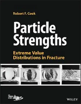 Cook |  Particle Strengths | eBook | Sack Fachmedien