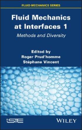 Prudhomme / Vincent | Fluid Mechanics at Interfaces 1 | E-Book | sack.de