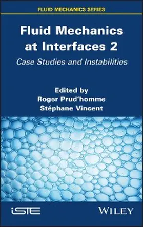 Prudhomme / Vincent | Fluid Mechanics at Interfaces 2 | E-Book | sack.de