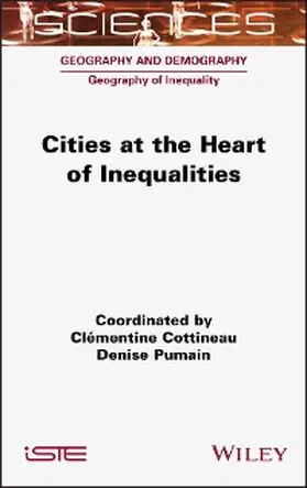 Cottineau / Pumain |  Cities at the Heart of Inequalities | eBook | Sack Fachmedien
