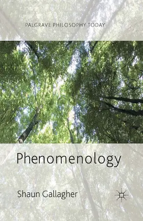 Gallagher |  Phenomenology | eBook | Sack Fachmedien