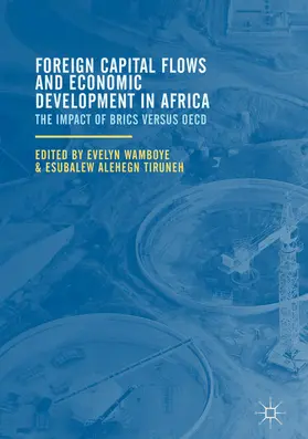 Wamboye / Tiruneh |  Foreign Capital Flows and Economic Development in Africa | eBook | Sack Fachmedien