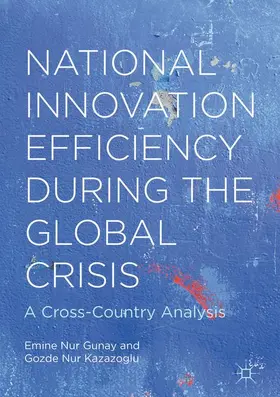 Gunay / Kazazoglu |  National Innovation Efficiency During the Global Crisis | Buch |  Sack Fachmedien