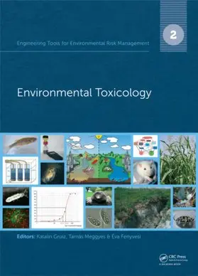 Gruiz / Meggyes / Fenyvesi | Engineering Tools for Environmental Risk Management | Buch | 978-1-138-00155-8 | sack.de