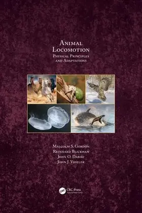 Gordon / Blickhan / Dabiri | Animal Locomotion | Buch | 978-1-138-03576-8 | www2.sack.de