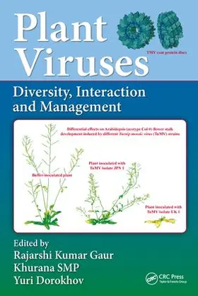 Gaur / Khurana / Dorokhov |  Plant Viruses | Buch |  Sack Fachmedien