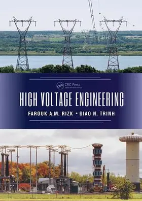 Rizk / Trinh | High Voltage Engineering | Buch | 978-1-138-07156-8 | sack.de