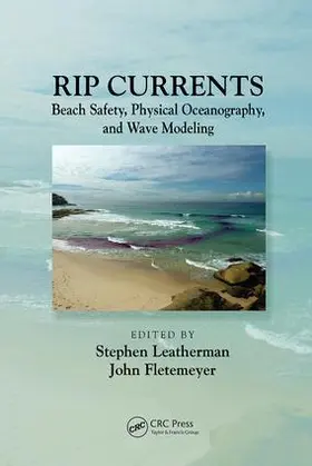Fletemeyer / Leatherman |  Rip Currents | Buch |  Sack Fachmedien