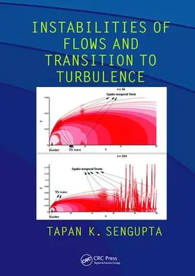 Sengupta |  Instabilities of Flows and Transition to Turbulence | Buch |  Sack Fachmedien