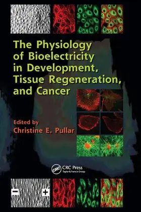 Pullar |  The Physiology of Bioelectricity in Development, Tissue Regeneration and Cancer | Buch |  Sack Fachmedien