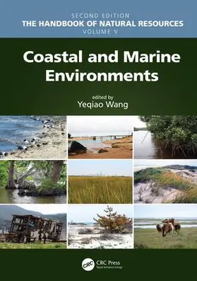 Wang | Coastal and Marine Environments | Buch | 978-1-138-33963-7 | www2.sack.de