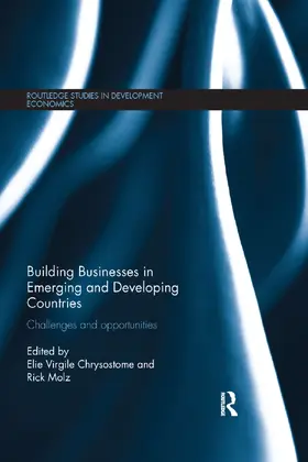 Chrysostome / Molz |  Building Businesses in Emerging and Developing Countries | Buch |  Sack Fachmedien