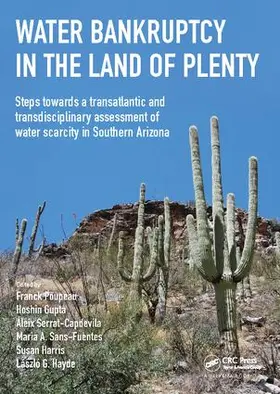 Poupeau / Gupta / Serrat-Capdevila |  Water Bankruptcy in the Land of Plenty | Buch |  Sack Fachmedien