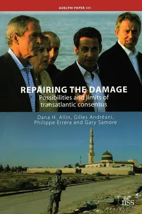 Allin |  Repairing the Damage | Buch |  Sack Fachmedien