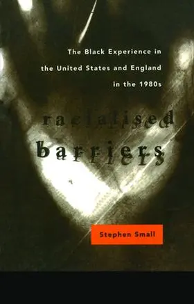 Small |  Racialised Barriers | Buch |  Sack Fachmedien