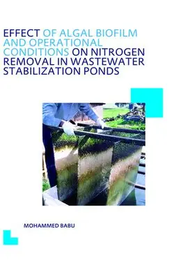Babu | Effect of Algal Biofilm and Operational Conditions on Nitrogen Removal in Waste Stabilization Ponds | Buch | 978-1-138-47434-5 | sack.de