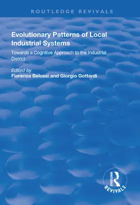 Belussi / Gottardi | Evolutionary Patterns of Local Industrial Systems | Buch | 978-1-138-62555-6 | www2.sack.de