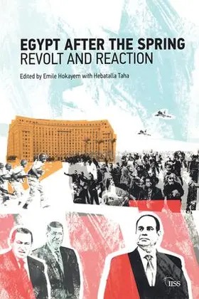 Hoyakem / Taha |  Egypt after the Spring | Buch |  Sack Fachmedien